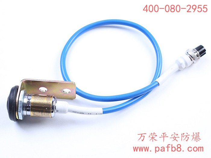 矿用本安型按钮开关